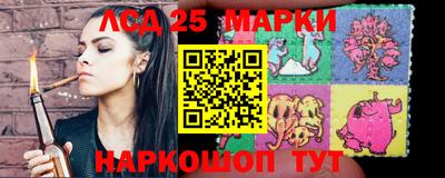дмт Краснодар