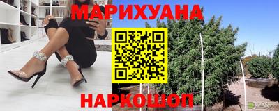 гидра Краснознаменск